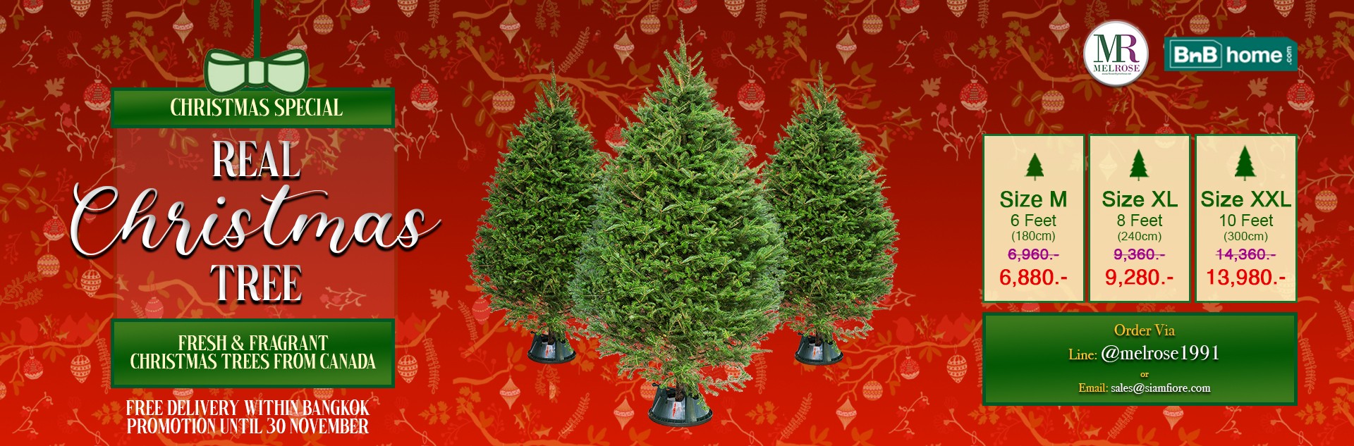 Christmas Tree Promo